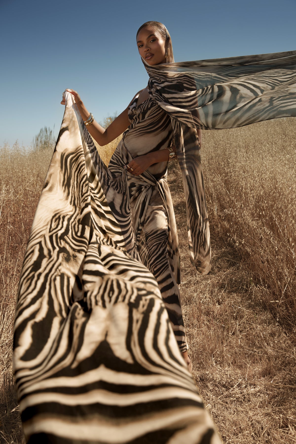 Brown Zebra Print Shadow Safari Scarf